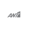 ant1-logo-grey white