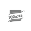 knorr-logo-grey-2-1024x684-1 white